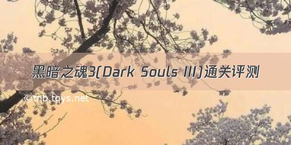 黑暗之魂3(Dark Souls III)通关评测