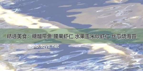 精选美食：糖醋带鱼 腰果虾仁 水果玉米炒虾仁 丝瓜烧海苔