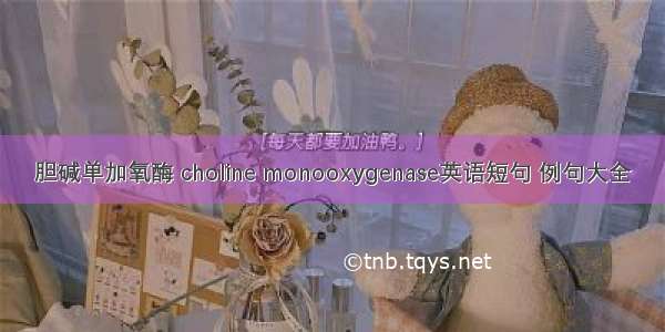 胆碱单加氧酶 choline monooxygenase英语短句 例句大全