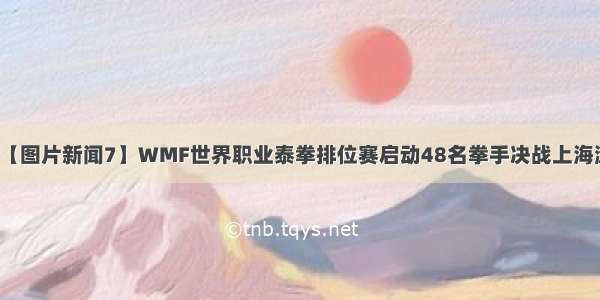 【图片新闻7】WMF世界职业泰拳排位赛启动48名拳手决战上海滩