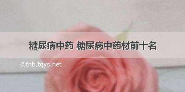 糖尿病中药 糖尿病中药材前十名