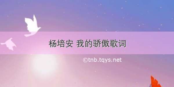 杨培安 我的骄傲歌词