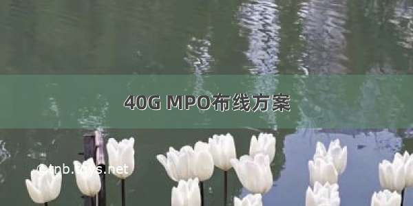 40G MPO布线方案