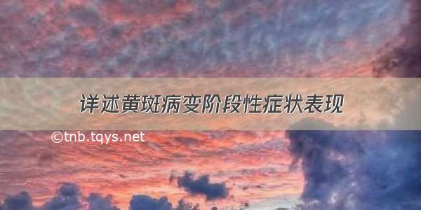 详述黄斑病变阶段性症状表现