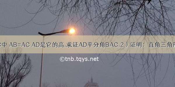 已知三角形ABC中 AB=AC AD是它的高.求证AD平分角BAC.2）证明：直角三角形斜边上的中线