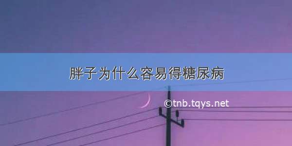 胖子为什么容易得糖尿病