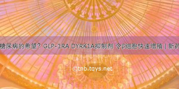 根治糖尿病的希望？GLP-1RA DYRK1A抑制剂 令β细胞快速增殖 | 新药资讯