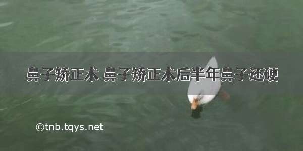 鼻子矫正术 鼻子矫正术后半年鼻子还硬