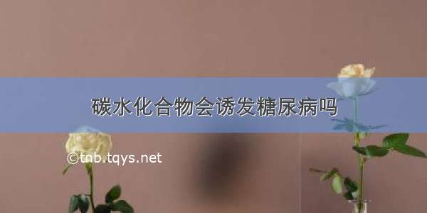 碳水化合物会诱发糖尿病吗