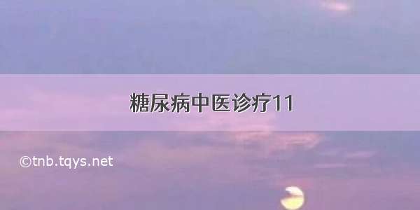 糖尿病中医诊疗11