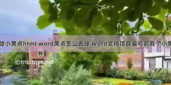 消除小黑点html word黑点怎么去掉 Word文档项目编号前有个小黑点