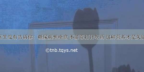 医生没有告诉你：糖尿病想痊愈 不能靠打针吃药 这种营养才是关键！