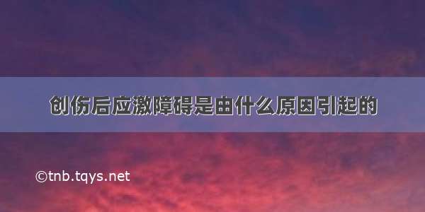 创伤后应激障碍是由什么原因引起的