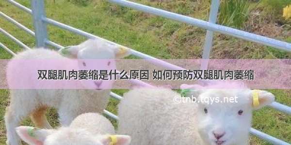 双腿肌肉萎缩是什么原因 如何预防双腿肌肉萎缩