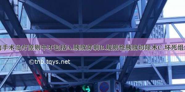 重症胰腺炎的手术治疗原则中不包括A.胰腺穿刺B.规则性胰腺切除术C.坏死组织清除术D.胰