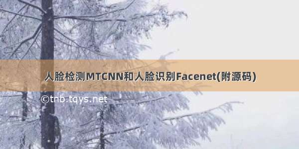 人脸检测MTCNN和人脸识别Facenet(附源码)