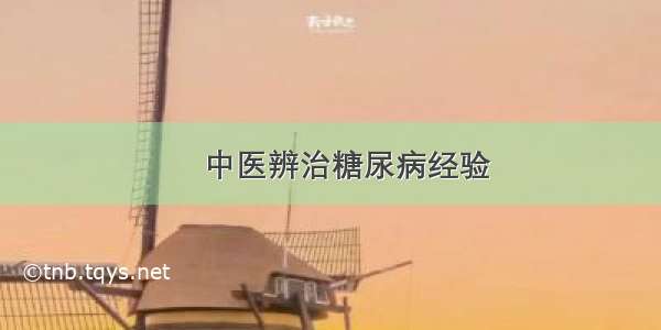 ​中医辨治糖尿病经验