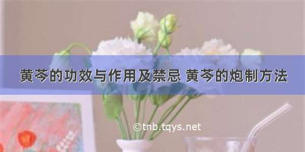 黄芩的功效与作用及禁忌 黄芩的炮制方法