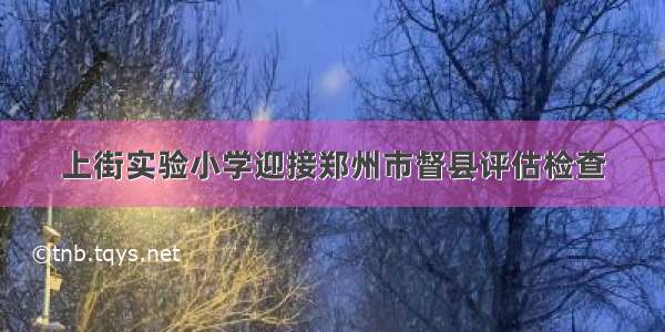 上街实验小学迎接郑州市督县评估检查