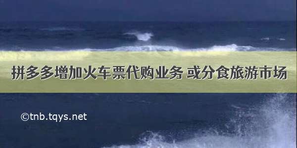 拼多多增加火车票代购业务 或分食旅游市场