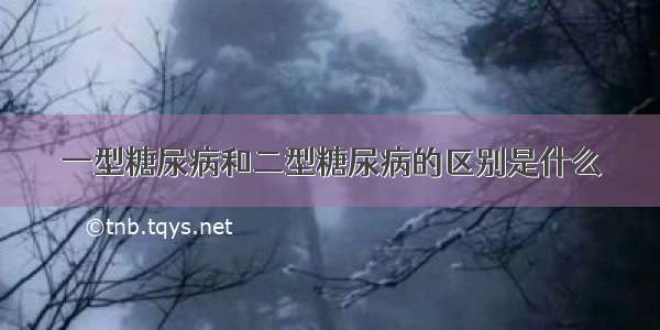 一型糖尿病和二型糖尿病的区别是什么