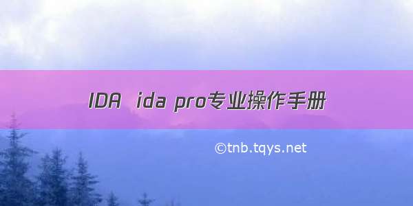 IDA  ida pro专业操作手册