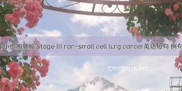 Ⅲ期非小细胞肺癌 stage Ⅲ non-small cell lung cancer英语短句 例句大全