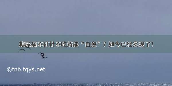 糖尿病不打针不吃药能“自愈”？如今已经实现了！