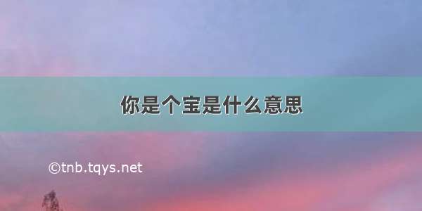 你是个宝是什么意思