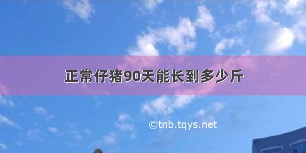 正常仔猪90天能长到多少斤