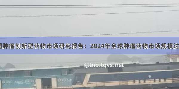 中国肿瘤创新型药物市场研究报告：2024年全球肿瘤药物市场规模达244