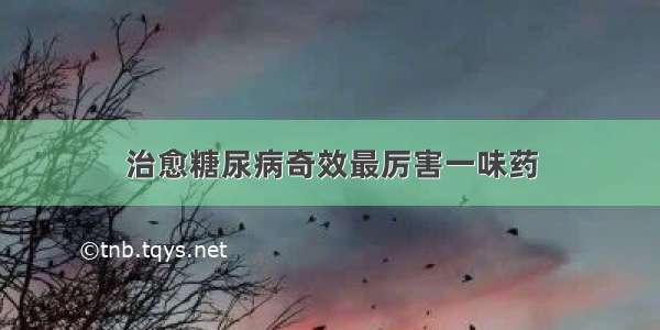 治愈糖尿病奇效最厉害一味药