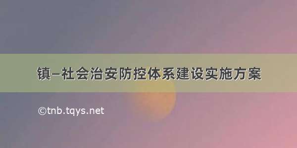 镇—社会治安防控体系建设实施方案