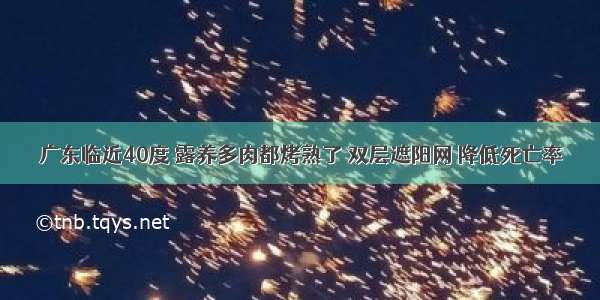 广东临近40度 露养多肉都烤熟了 双层遮阳网 降低死亡率