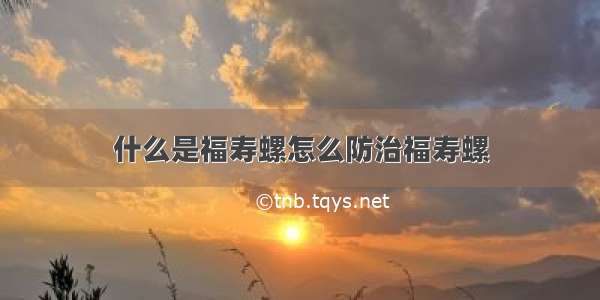 什么是福寿螺怎么防治福寿螺