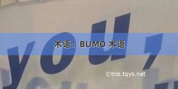 术语：BUMO 术语