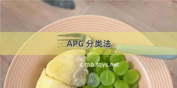 APG 分类法