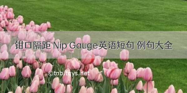 钳口隔距 Nip Gauge英语短句 例句大全