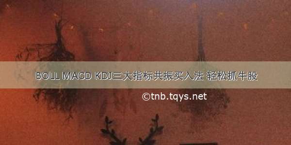 BOLL MACD KDJ三大指标共振买入法 轻松抓牛股