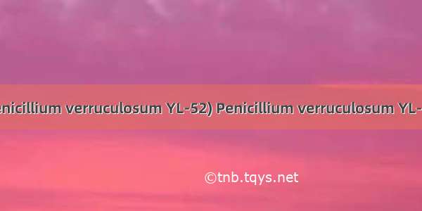 疣孢青霉菌YL-52(Penicillium verruculosum YL-52) Penicillium verruculosum YL-52英语短句 例句大全