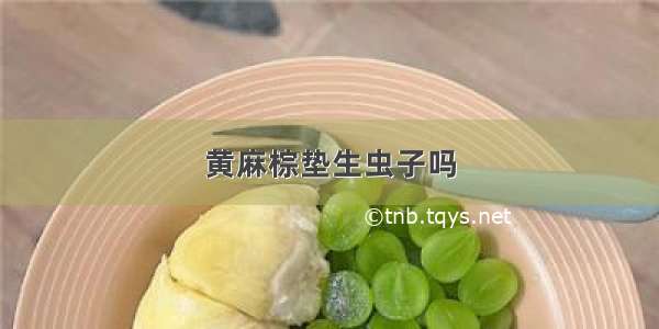 黄麻棕垫生虫子吗