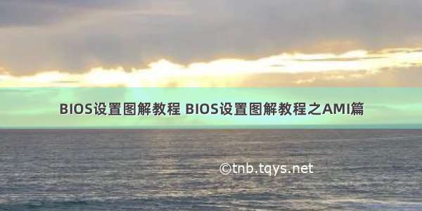 BIOS设置图解教程 BIOS设置图解教程之AMI篇