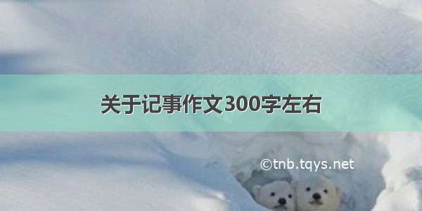 关于记事作文300字左右