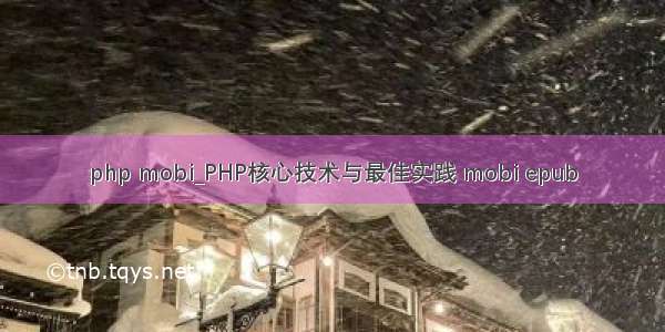 php mobi_PHP核心技术与最佳实践 mobi epub