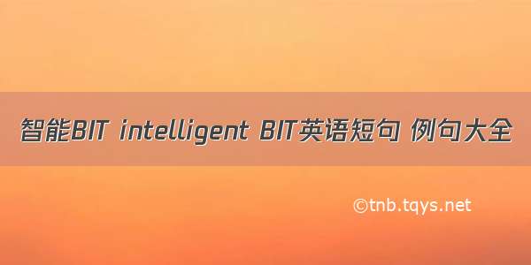 智能BIT intelligent BIT英语短句 例句大全