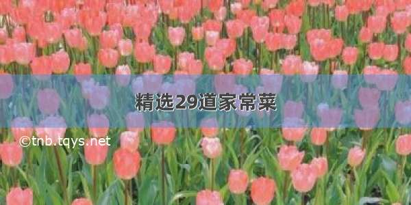 精选29道家常菜