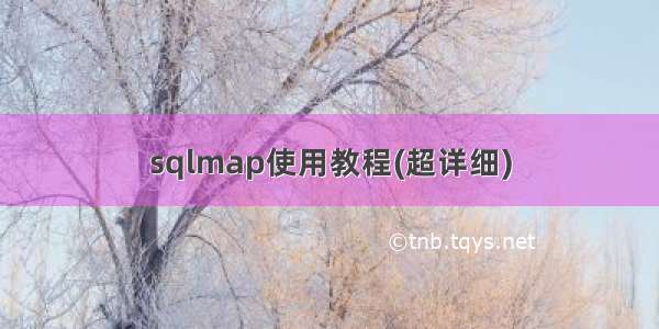 sqlmap使用教程(超详细)