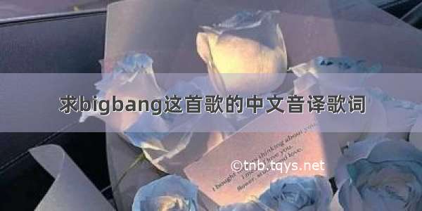 求bigbang这首歌的中文音译歌词