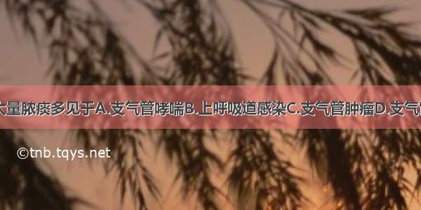 慢性咳嗽伴大量脓痰多见于A.支气管哮喘B.上呼吸道感染C.支气管肿瘤D.支气管内膜结核E.