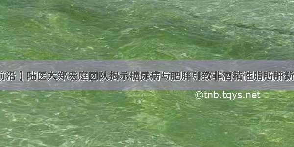 【前沿】陆医大郑宏庭团队揭示糖尿病与肥胖引致非酒精性脂肪肝新机制